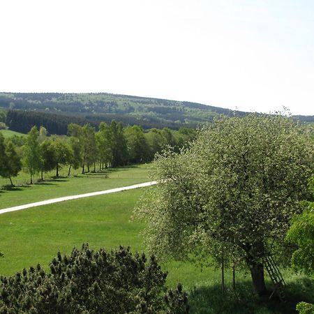 Hotel Steuer Allenbach Buitenkant foto