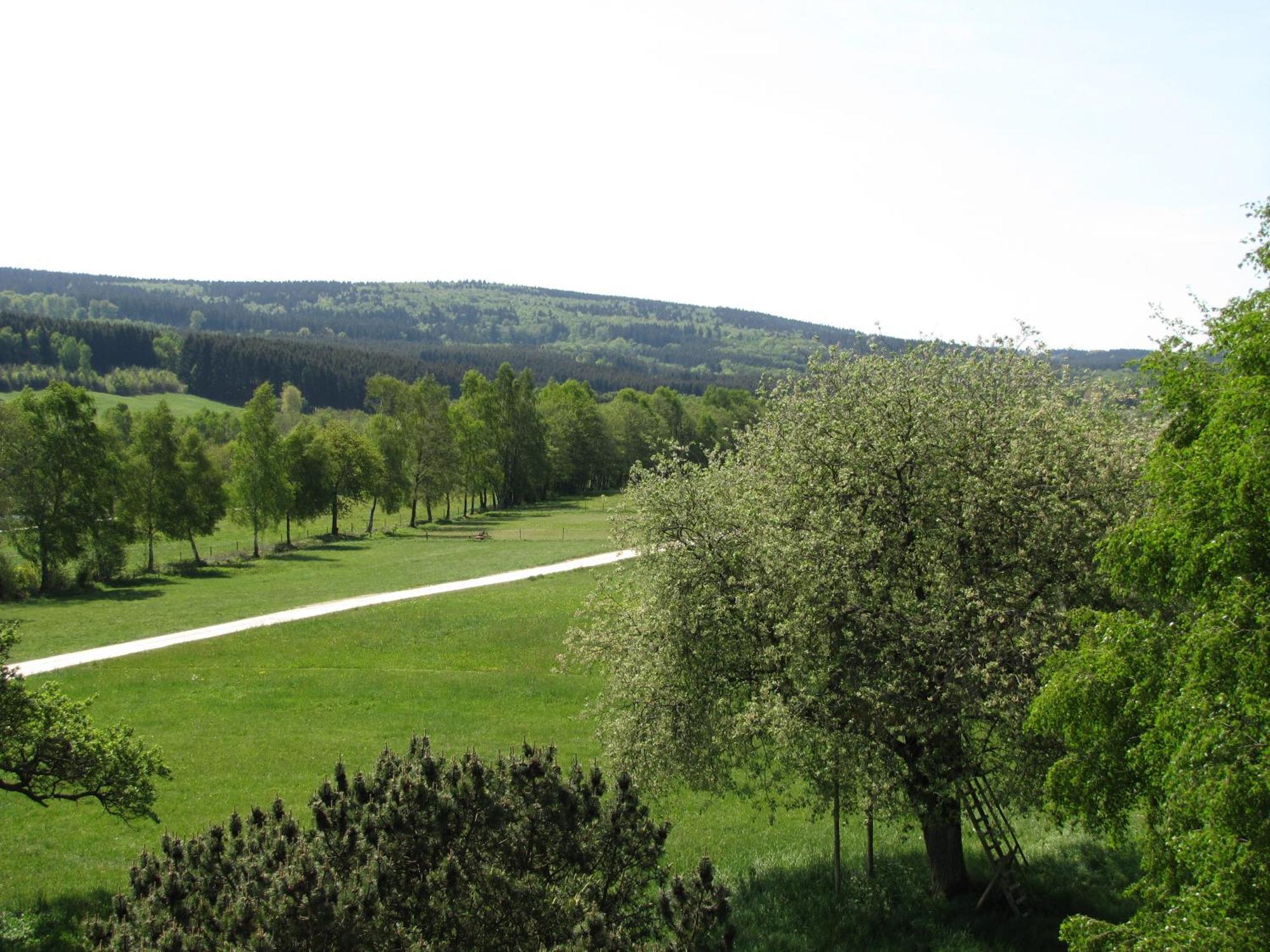 Hotel Steuer Allenbach Buitenkant foto